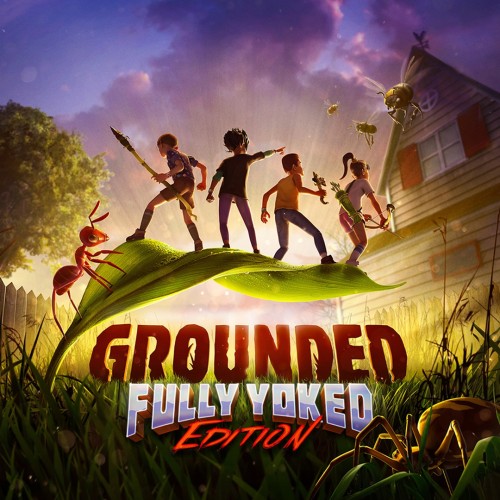 Viet Hoa - Grounded